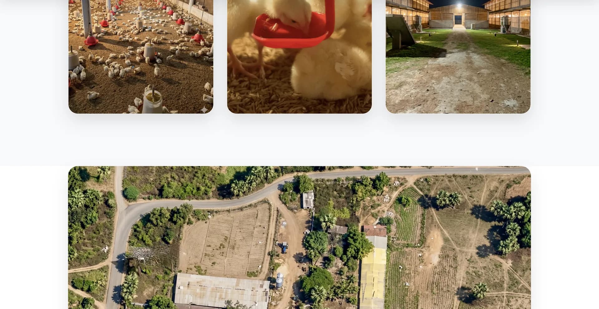 farm screenshot