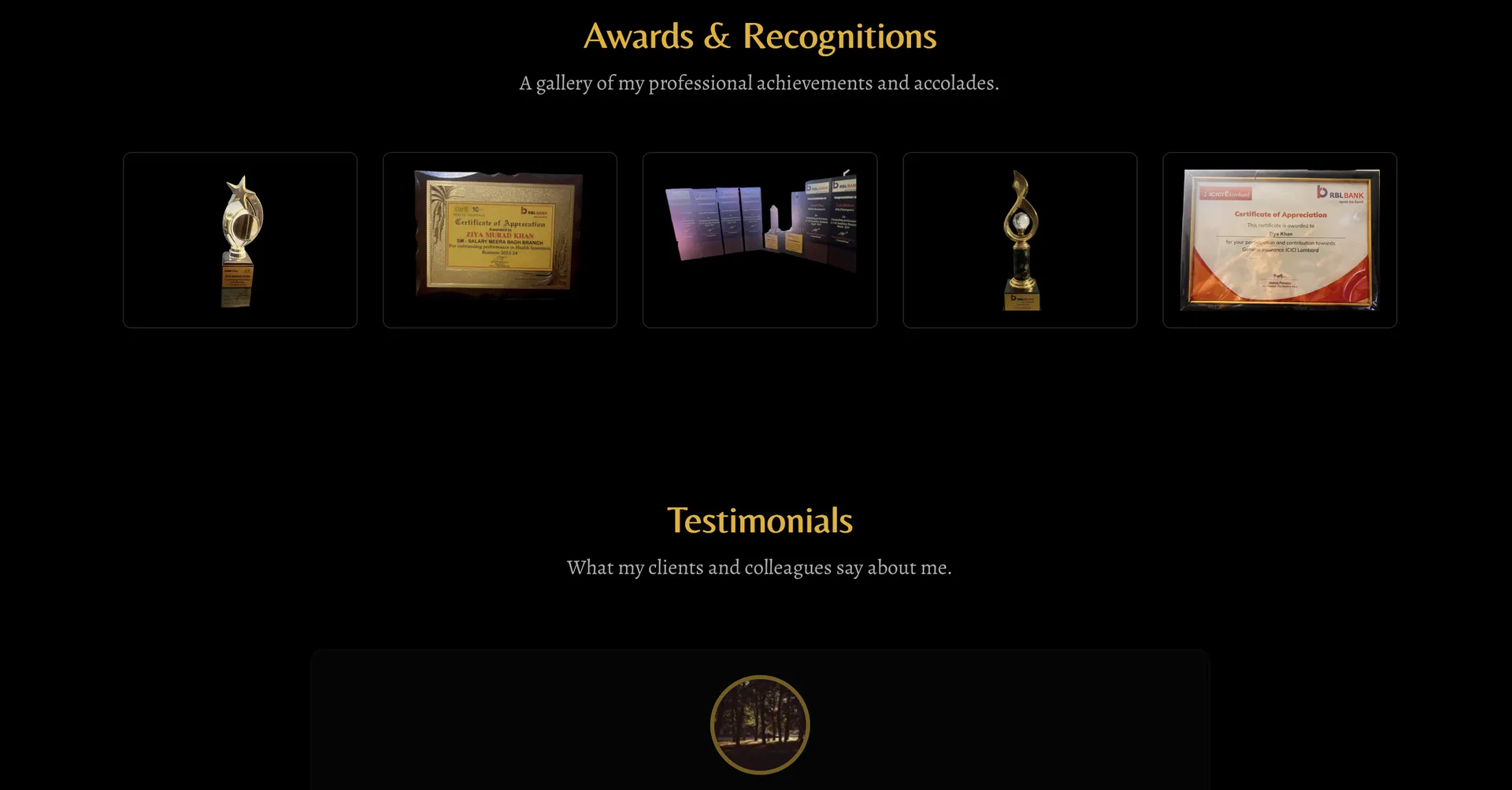 ziya screenshot